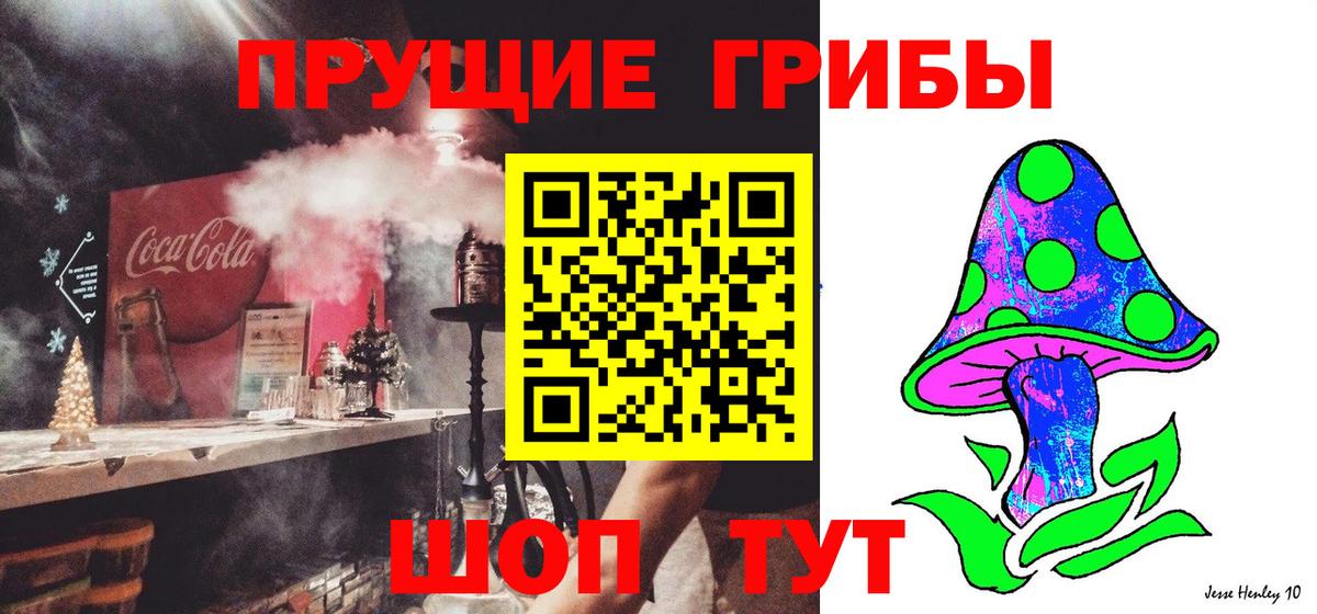 Псилоцибиновые грибы прущие грибы Пыть-Ях